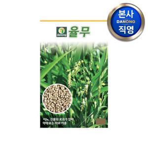 율무 씨앗 50립 . 원예 야채 채소 텃밭 파종 재배 주말 농장 씨 종자.