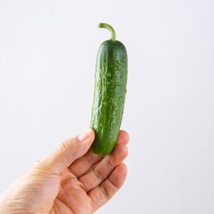 갤러리아_[맛딜] 아삭한 국내산 미니오이 4kg