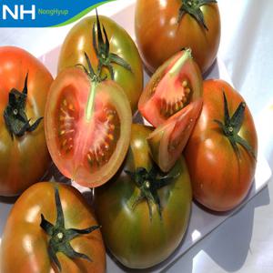 창녕 찰토마토 5kg(S-M)