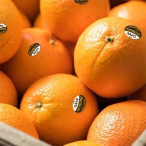 [딜픽 오렌지]고당도 블랙라벨 오렌지 대과 30과(개당230g내외)