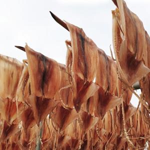 국내산 쫄쫄이오징어(중대) 275g 5미