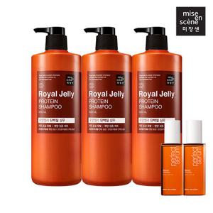 미쟝센 로얄젤리 단백질 샴푸 트리트먼트 1000ml 3입(옵션)