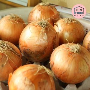 국내산 산지직송 햇양파 3kg (중사이즈)