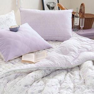 퍼플 토파즈 사계절 모달 퀸 Q 차렵이불 패드세트 WFKQ1NA