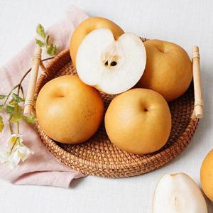 국내산 가정용 추황배 5kg 꼬마과