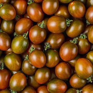 국내산 흑대추방울토마토 1kg (1-3번과)