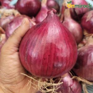 온미락 전남 무안 자색양파 특대혼합 5kg 황토밭 양파 산지직송