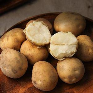 갤러리아_[농부마음]2025년 감자 햇감자 3kg 특품/반찬용