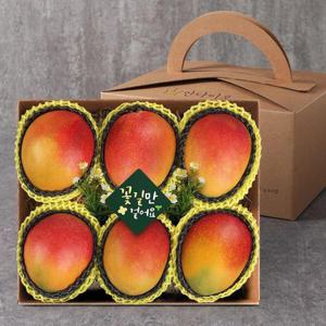 갤러리아_[오늘의과일] 안다미로 애플망고선물세트 2kg내외(랜덤4~6과)