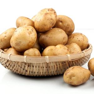 [산정마을]국내산 햇 수미감자(중) 3kg