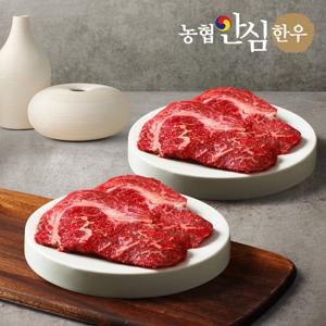 [농협안심한우]1등급 한우등심 600g(300g+300g)