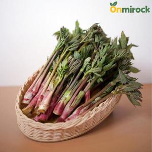 온미락 너래안 눈꽃 땅두릅 백미향 봄나물 강원도 화천 햇두릅 1KG