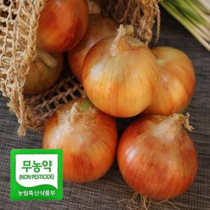 친환경 양파 중 3kg 국내산 햇 양파 아삭 달큰 무농약