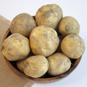 [올즈마켓]전북 김제 2025년 노지 햇 수미감자 왕특 10kg