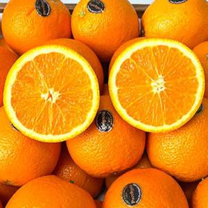 포미식탁 퓨어스펙 블랙라벨 오렌지 대과(L) 20과