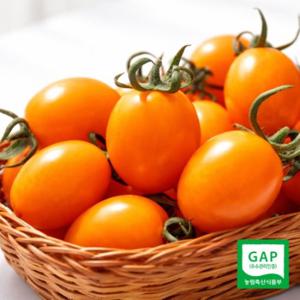 [GAP인증] 달콤한 황금대추방울토마토 2kg(1~3번과)