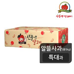 [산들앤][알뜰][특대과] 산들앤 달코미 알뜰사과 5kg