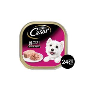 시저 닭고기 100g 24캔