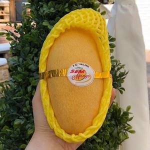 태국 남독마이 망고 2.5kg 5-9과 대과 태국망고 생망고 태국 골드 망고 한