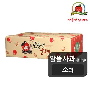 [산들앤][알뜰][소과] 산들앤 달코미 알뜰사과 5kg