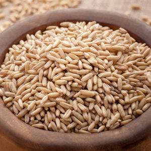 쌀집총각 캐나다산 귀리 3kg(1kg*3봉)