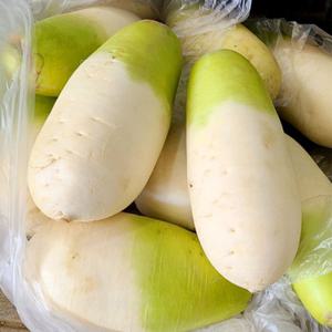 제주 월동무 세척 무 10kg