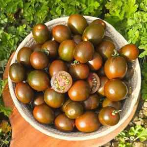 흑대추방울토마토 1kg (1-3번과)