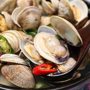 [품질보장] 겨울 제철 남해 쫄깃한 왕바지락 3kg