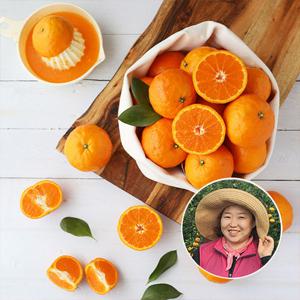 고당도 제주 못난이 카라향 랜덤과 4.5kg