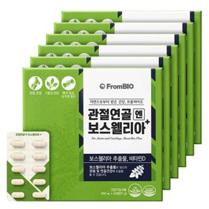 관절연골엔 보스웰리아 플러스 60정x6박스/6개월