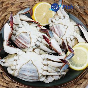 [피시원] 이력추적 알이 꽉찬 국산 통 암꽃게(냉동) 1.5kg