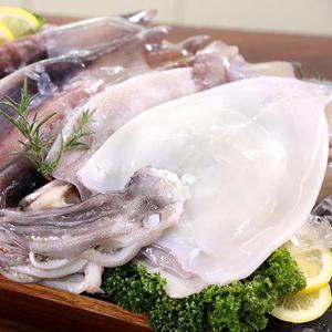 [새담] 간편 손질 오징어 500g(4-7미내외) x 3팩