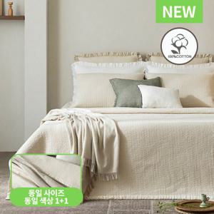 [SS 스프레드 1+1]26년 최신상 보몽드 국내생산 순면 워싱 100%