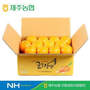 [26년 수확 제주농협] 제주 귤로장생 천혜향 4kg