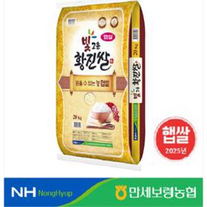 [만세보령농협] 2025년산 빛고운황진쌀 20kg 당일도정