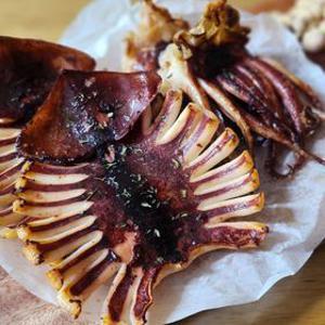 [딜크릿][산지직송] 국내산 구룡포 반건조 오징어 피데기