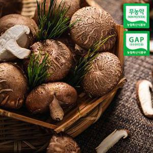 [APP 전용]가성비 특가 국내산 친환경 무농약 GAP 생 표고버섯 1kg