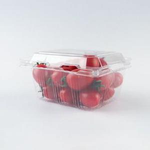 과일 블루베리 방울토마토 포도 누룽지 500g 포장 용기 TBT-500 방담 [500개]