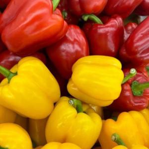 [산지직송] 국내산 파프리카 빨강파프리카 노랑파프리카 1/2/3/4/5kg