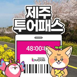 [제주] 제주투어패스 / 48시간 프리패스 여행 체험 관광지 실내 액티비티 카트 승마 공연