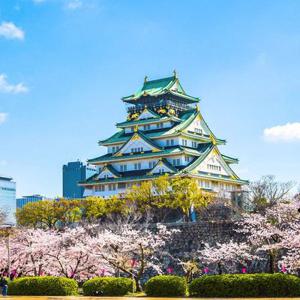 [트립ON] 오사카/교토 3박 4일, 교토 1박 + 오사카 2박 숙박, 3일차 자유일정 또는 고베관광 선택