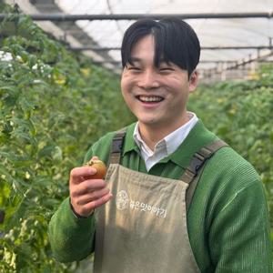 양산 짭짤이토마토 산지직송 로열과 못난이 2.5kg