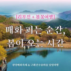 [당일여행] (리무진 버스) 광양 매화마을과 구례 산수유마을