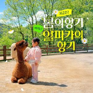 [홍천] 알파카월드 입장권(9/1~)