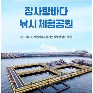 [속초] 장사항바다낚시체험공원-1시간 체험권(~03/31)