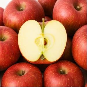 [바른농원] 청송 얼음골 부사 사과