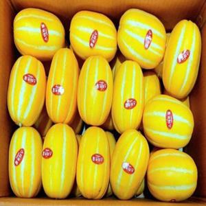 [아달달농산] 당도선별 성주참외 성주 꿀 참외 2kg 5kg 10kg 로얄과