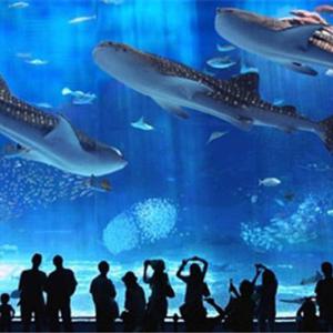 [즉시확정] 일본 오키나와 츄라우미 수족관 입장권 티켓(추라우미)