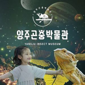 [양주] 양주곤충박물관 입장권