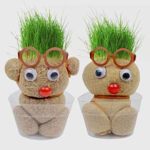 잔디 인형 키우기(랜덤) 잔디 키우기 식물 재배 키트